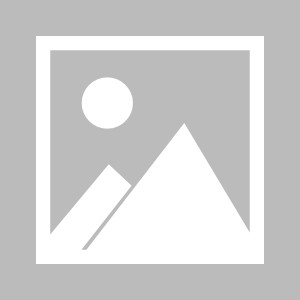 迪马：国米接近签下普罗维德尔，希望以200万至300万欧完成交易